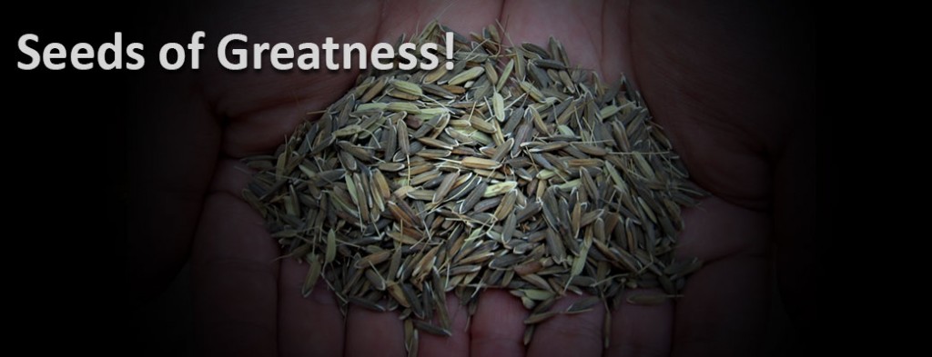 seeds-of-greatness